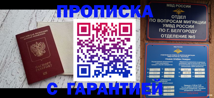 временная регистрация надежно в Отрадном